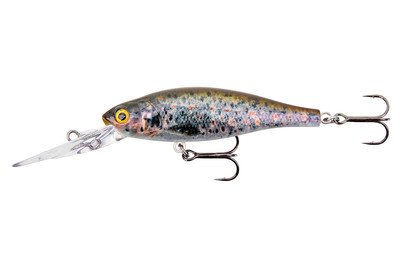 Image of Stucki Fanatics Freaky 6CM Trout bei JUMBO