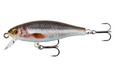 Image of Stucki Fanatics Shorty 5CM Minnow bei JUMBO