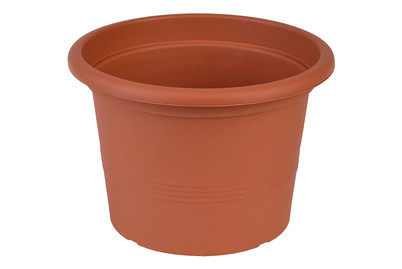 Image of Topf Campanula Ø40/H28 cm terra bei JUMBO