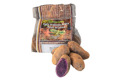 Image of Saatkartoffeln Blaue St.galler 1.0 kg bei JUMBO