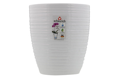 Image of Orchideentopf Glass Ø13cm weiss bei JUMBO