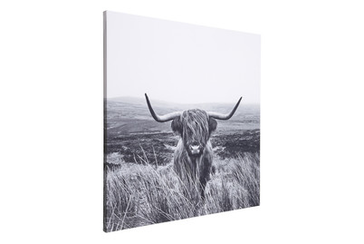Image of Leinwandbild Canvas Highlander bei JUMBO