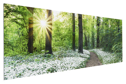 Image of Wandbild Deco Panel Spring Forest