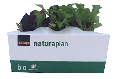 Image of Naturaplan Lattich Baby Leaf bei JUMBO