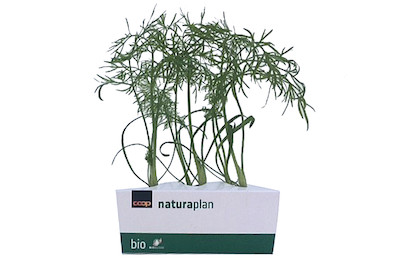 Image of Naturaplan Randen Fenchel bei JUMBO