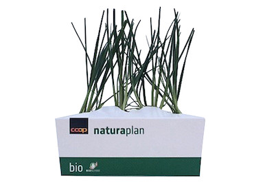 Image of Naturaplan Stangensellerie Lauch bei JUMBO