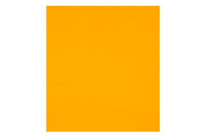 Image of Klebefolie Orange matt 45 x 200 cm bei JUMBO