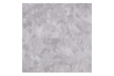 Image of Klebefolie Lily silber 45 x 200 cm bei JUMBO