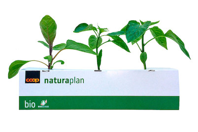 Image of Naturaplan Aubergine Peperoni Mix bei JUMBO
