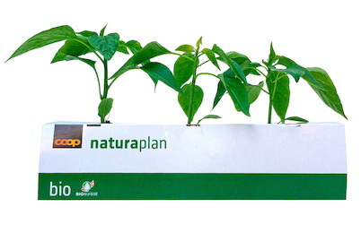 Image of Naturaplan Peperoncini Peperoni Mix bei JUMBO