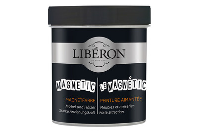 Image of Magnetfarbe grau 0.5 l