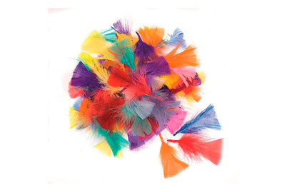 Image of Glorex Deko-Federn bei JUMBO