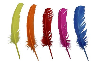 Image of Indianerfedern, bunt, 5St 28 - 30 cm bei JUMBO
