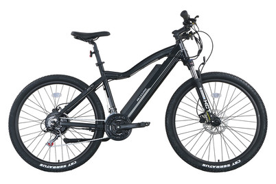 Image of Allegro E-Mtb Via Sport Axu°02 48 cm bei JUMBO