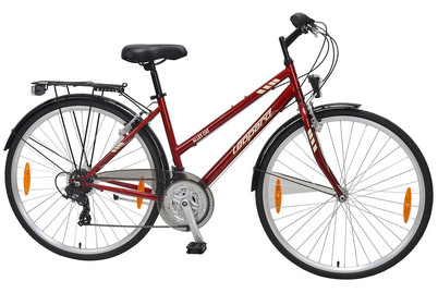 Image of Leopard Alley Cat 28 Unisex, 45cm bei JUMBO