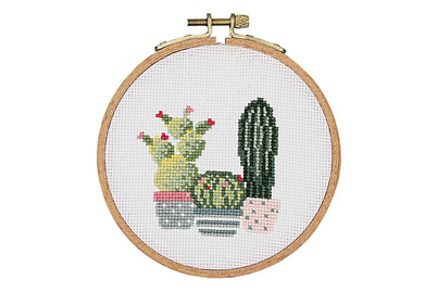 Image of Kakteen Bild, Packung bei JUMBO