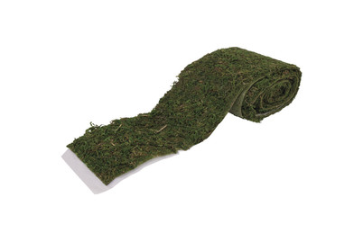 Image of Moosband, 10cm, SB-Btl 1,8m bei JUMBO