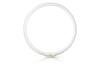 Image of Philips Linienlampe 2Gx13 TL5 22W bei JUMBO