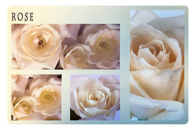 Image of Tischset Cristallino Rose 30x45 cm