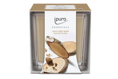 Image of ipuro Essentials Cedar Wood Duftkerze 125g