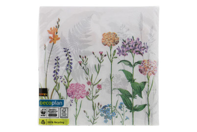 Image of Oecoplan-Servietten Rosabella 33cm 20 Stück bei JUMBO