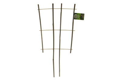 Image of Videx Rankhilfe Bambus 60Cm bei JUMBO