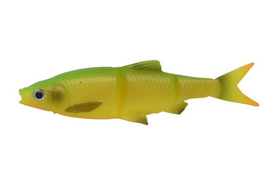 Image of SG Roach Swim'n Jerk 10Cm 10Gr - Firetiger bei JUMBO