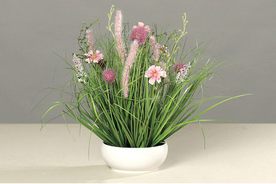 Image of Wiesenblumen in Kunstoffschale bei JUMBO