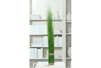 Image of Stehgras-Bündel gebunden gross bei JUMBO