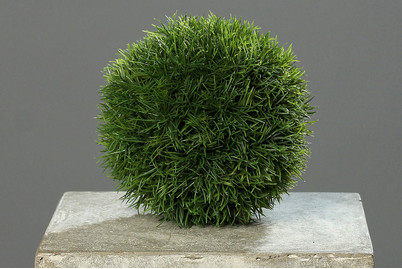 Image of Graskugel mit Styroporkern bei JUMBO