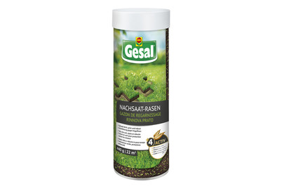 Image of Gesal Nachsaat-Rasen 440 gr bei JUMBO