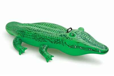 Image of Intex Alligator bei JUMBO