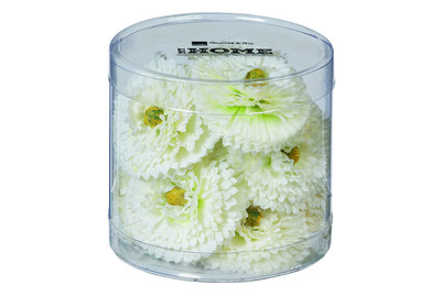 Image of 12 künstl. Blüten weiss in Box bei JUMBO