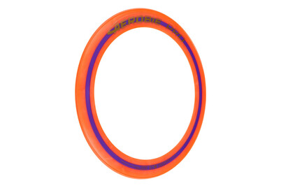 Image of Aerobie Pro Ring