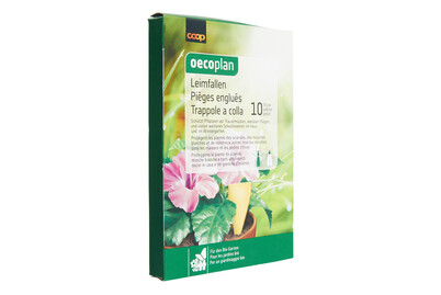 Image of Oecoplan Leimfallen 10 Stück bei JUMBO
