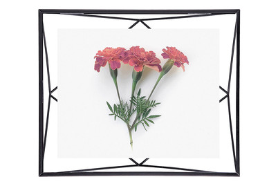 Image of Umbra Bilderr. Prisma Schwarz, 20x25 cm bei JUMBO