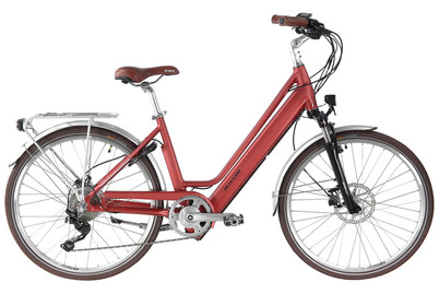 Image of Allegro E-Bike Invisible City Acil°03 48 cm, darkcoral bei JUMBO
