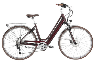 Image of Allegro E-Bike Invisible City Acil°03, 28, 48 cm, blackberry bei JUMBO