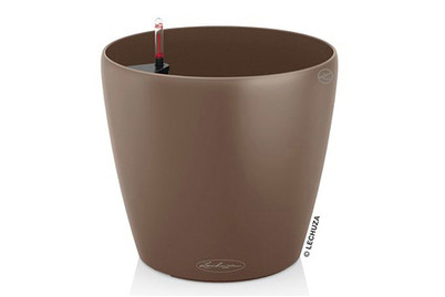 Image of Lechuza Classico Color 35 muskat bei JUMBO