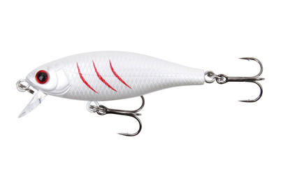 Image of Stucki Fanatics Shorty 5CM Ibone bei JUMBO