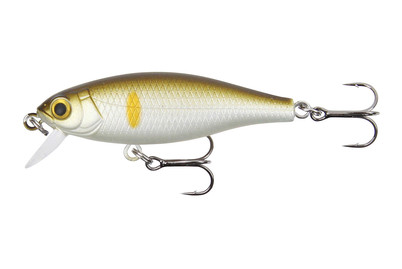 Image of Stucki Fanatics Shorty 5CM AYU bei JUMBO