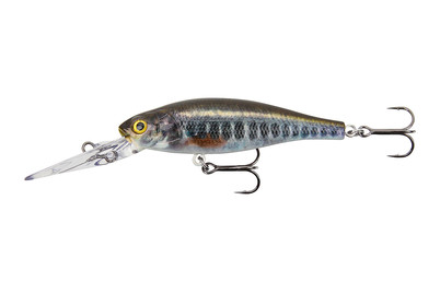 Image of Stucki Fanatics Freaky 6CM Elritze bei JUMBO