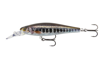 Image of Stucki Fanatics Ludic Drive 6.5Cm - Elritze bei JUMBO