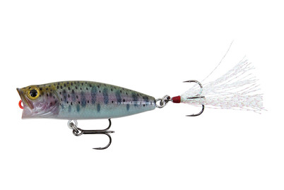 Image of Stucki Fanatics Bubble 5.5Cm Rainbow Trout bei JUMBO