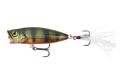 Image of Stucki Fanatics Bubble 5.5Cm Perch bei JUMBO