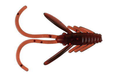 Image of RED EYE Shrimp 25Mm - Brown