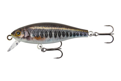 Image of Stucki Fanatics Shorty 5CM Elritze bei JUMBO