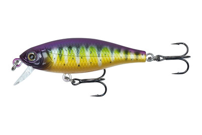 Image of Stucki Fanatics Shorty 5CM TRT bei JUMBO