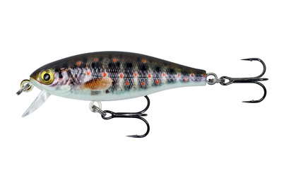 Image of Stucki Fanatics Shorty 5CM TRJ bei JUMBO