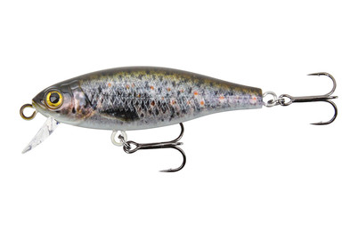 Image of Stucki Fanatics Shorty 5CM Trout bei JUMBO